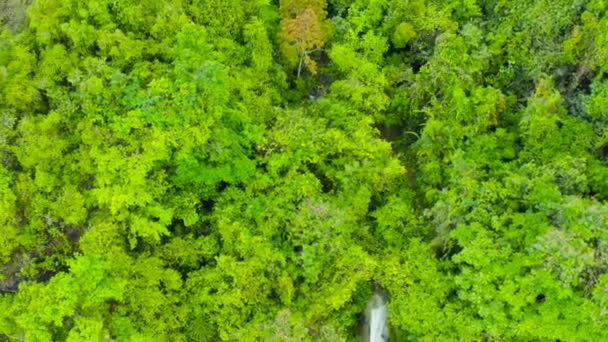 美丽的热带瀑布菲律宾宿务 — 图库视频影像