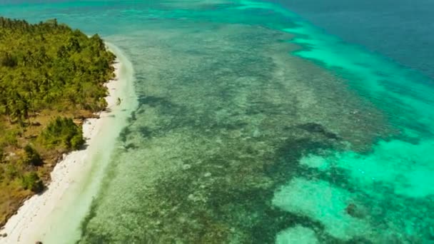 Île tropicale avec plage de sable fin. Balabac, Palawan, Philippines. — Video