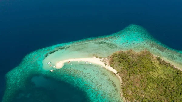 Kumlu plajlı tropik ada, Filipinler, Palawan