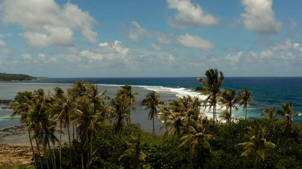 Pobřeží ostrova Siargao při odlivu. — Stock fotografie