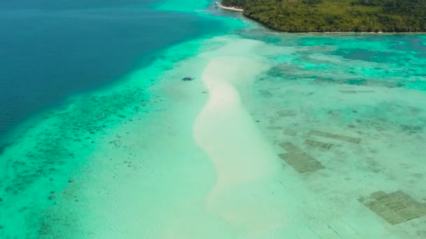 Piaszczysta plaża w lagunie z turkusową wodą. Balabac, Palawan, Filipiny. — Wideo stockowe