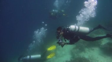 Suyun altında balıklı mercan kayalıkları. Camiguin, Filipinler