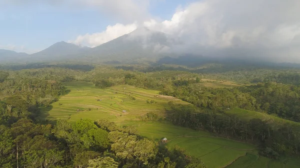 Tierras de cultivo y aldea Bali, Indonesia. —  Fotos de Stock