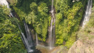 Beautiful tropical waterfall Bali,Indonesia. clipart