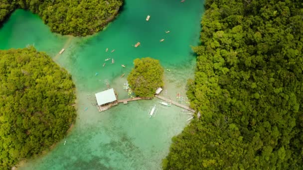 Vue aérienne de la lagune de Sugba, Siargao, Philippines. — Video