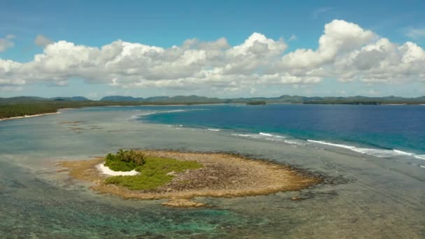 Tropical island in the blue ocean water — Stock Video