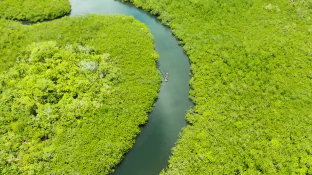 Mangrove ormanının ve nehrin havadan görünüşü. — Stok video