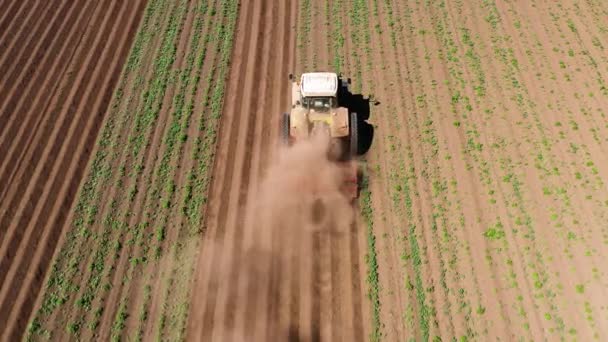 Agricultural machinery in the potato field cultivates the land — Stock Video