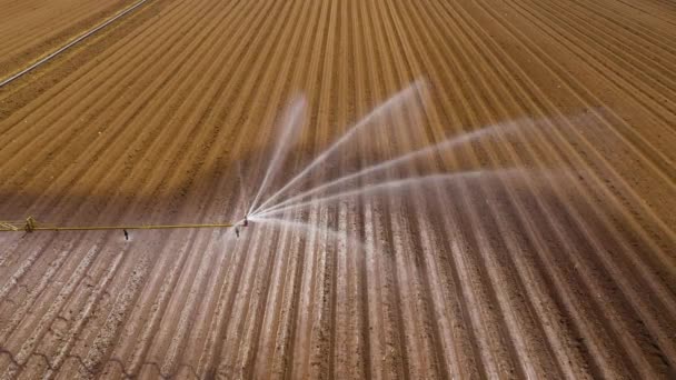 Sistema de riego en tierras agrícolas. — Vídeos de Stock