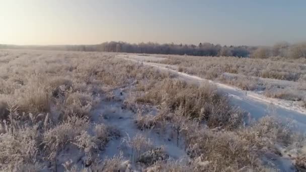 Paesaggio invernale in campagna — Video Stock