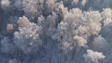 Kırsal kesimde kış manzarası
