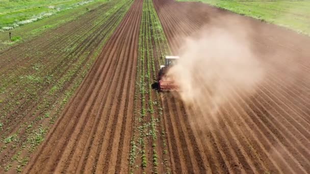Landbouwmachines in het aardappelveld verbouwen de grond — Stockvideo
