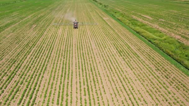 Spuiten van pesticiden op plantaardig veld met sproeiapparaat — Stockvideo
