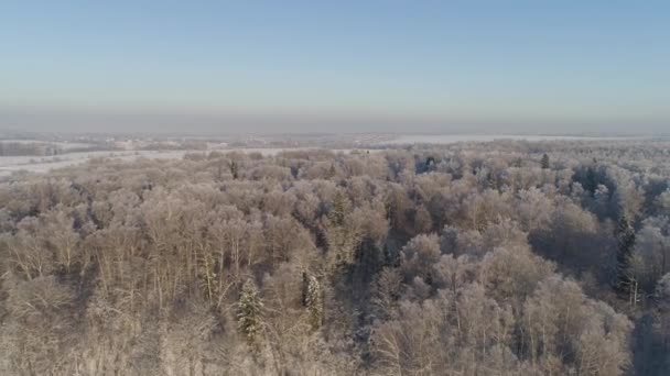 Paisagem de inverno no campo — Vídeo de Stock