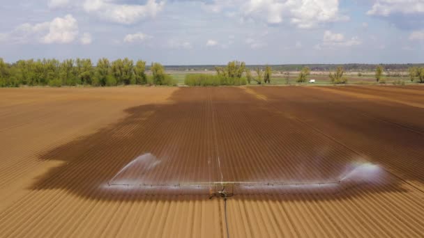 Sistema de riego en tierras agrícolas. — Vídeo de stock