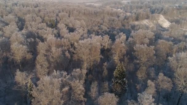 Paisagem de inverno no campo — Vídeo de Stock