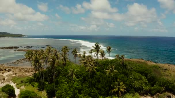 Побережье острова Сиаргао во время отлива. — стоковое видео