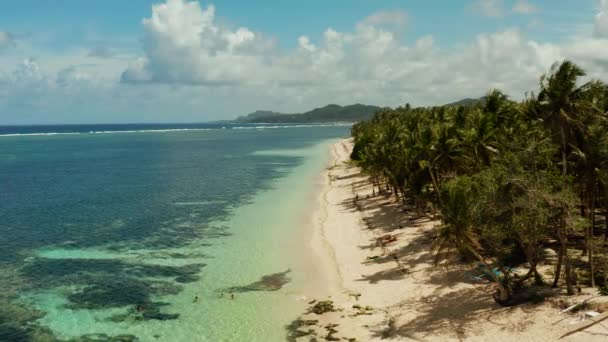 Tropischer Strand mit Palmen, Luftaufnahme. — Stockvideo