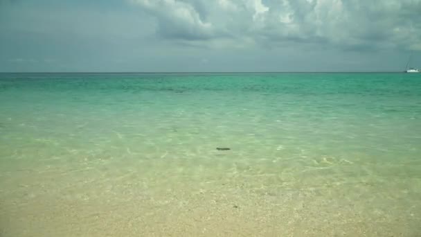 Playa tropical y mar azul, Filipinas. — Vídeo de stock