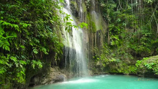 Gyönyörű trópusi vízesés Fülöp-szigetek, Cebu — Stock videók