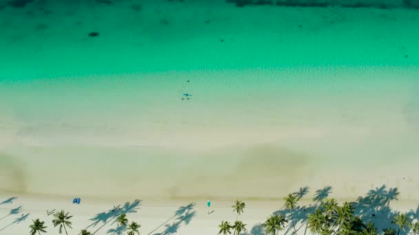 Spiaggia tropicale e mare limpido e blu — Video Stock