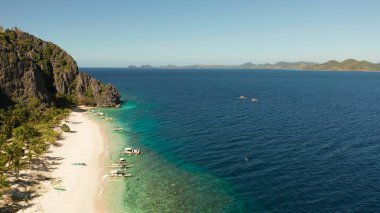 Tropik plaj ve deniz manzaralı.