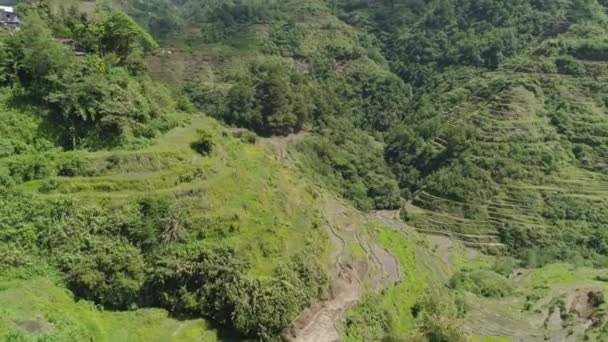 Rýžové terasy v horách. Filipíny, Batad, Banaue. — Stock video