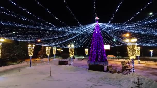 Рождественская елка в парке — стоковое видео