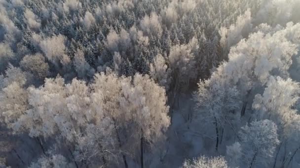 Paisagem de inverno no campo — Vídeo de Stock