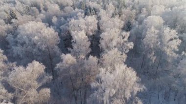 Kırsal kesimde kış manzarası