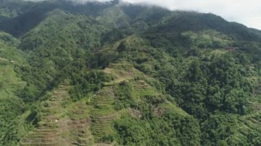 Dağlarda pirinç terasları. Filipinler, Batad, Banaue.