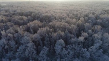 Kırsal kesimde kış manzarası