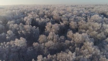 Kırsal kesimde kış manzarası