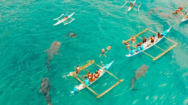 Avistamiento de tiburones ballena Oslob en Filipinas, Isla Cebú. —  Fotos de Stock