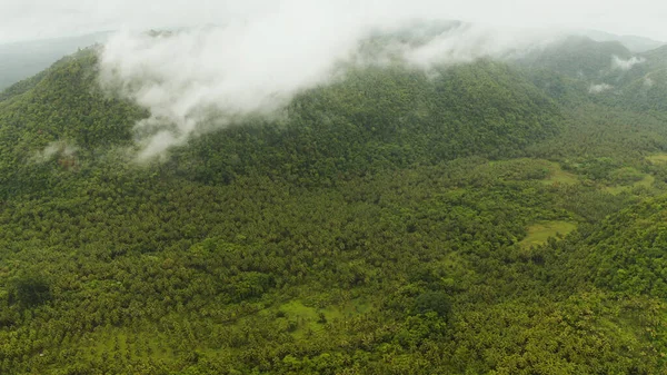 Berge mit Regenwald, Philippinen, Siargao. — Stockfoto