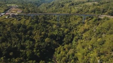Dağ Kanyon orman üzerinde köprü. Bali, Endonezya.