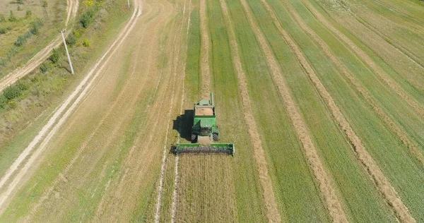 Combine la cosechadora en el campo de trigo —  Fotos de Stock