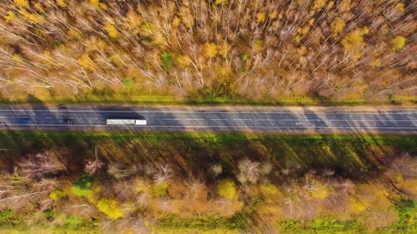 Väg i höst skog antenn utsikt. — Stockvideo