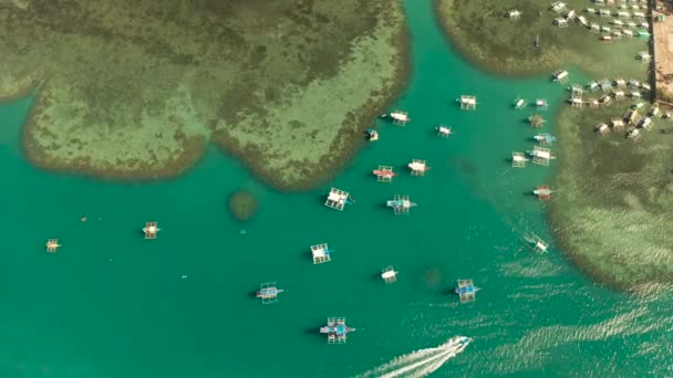 Turista hajók egy öbölben kék vízzel — Stock videók