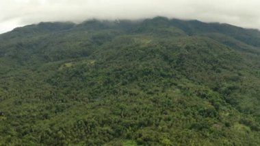 Dağlarla kaplı yağmur ormanları, Filipinler, Camiguin.