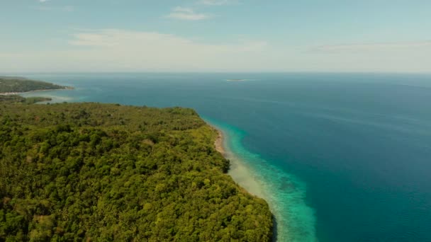 Landskap med kokosnötsträd och turkos lagun — Stockvideo