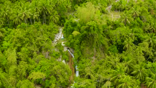 Bela cachoeira tropical Filipinas, Cebu — Vídeo de Stock