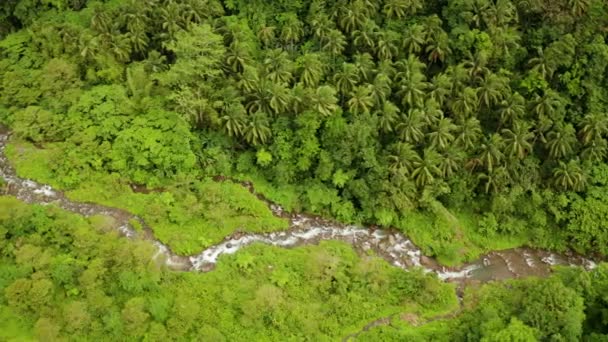 Flod som rinner i bergsdjungeln, Filippinerna, Camiguin. — Stockvideo