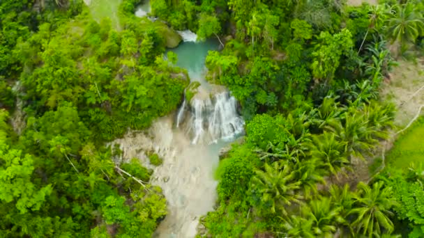 Beautiful tropical waterfall Philippines, Cebu — Stock Video