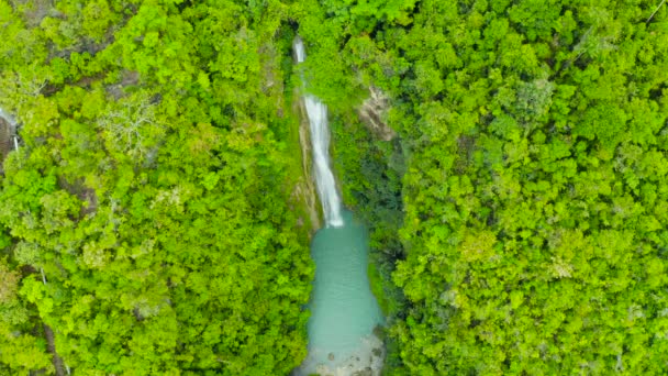 아름다운 열대 폭포 필리핀, 세부 — 비디오