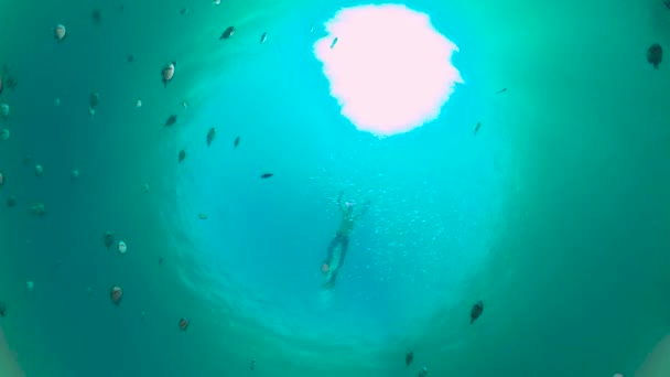 Recifes de coral e peixes tropicais. Bohol, Filipinas. — Vídeo de Stock