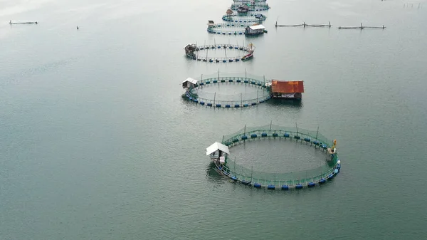 Filipinler 'de kafesli balık ve karides çiftliği, Luzon. Bangus ve süt balıkları için balık göletlerinin havadan görünüşü.