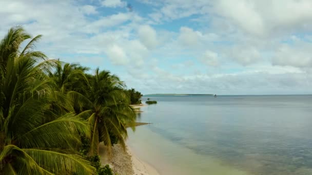 Plage tropicale avec palmiers., vue aérienne.
