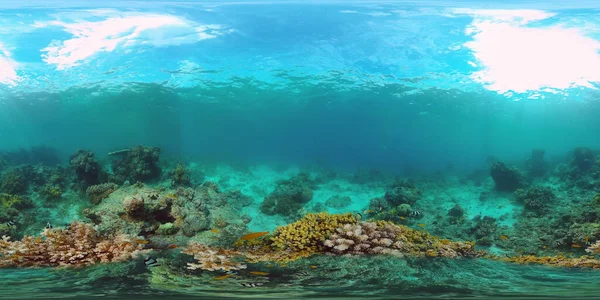 Coral reef with fish underwater 360VR. Panglao, Philippines — Stock Photo, Image