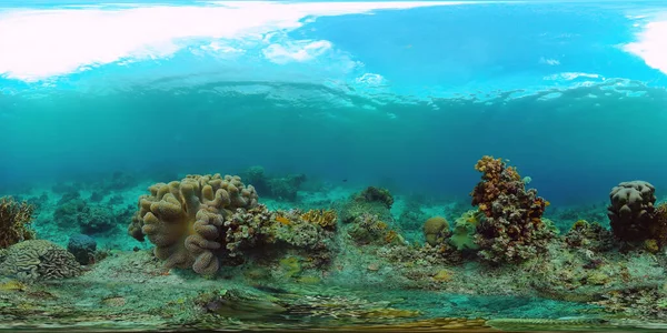 Arrecife de coral con peces bajo el agua 360VR. Camiguin, Filipinas —  Fotos de Stock